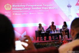 WORKSHOP PENGAWASAN TERPADI SUMBER DAYA MINERAL Page 1 Small