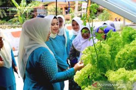 Dasawisma Melati masuk penilaian Dasawisma Berprestasi tingkat provinsi