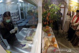 "L'ile Chocolate" diharapkan dorong pertanian kakao di Padang