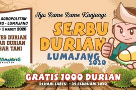 "Serbu Durian" Lumajang promosikan produk unggulan durian kembang