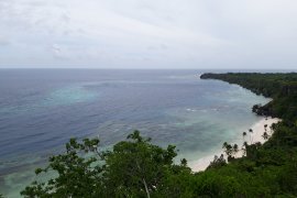 Wakatobi catat 28 ribu kunjungan wisatawan  pada awal 2020