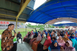Anggota DPRD Riau soroti 700 ha sawah gagal panen di Kuala Kampar