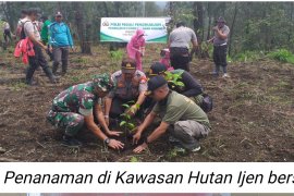 Perum Perhutani manfaatkan kawasan hutan Lereng Rengganis untuk wisata dan agroforestry