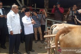OKU Timur target populasi sapi bertambah 10.000  ekor 2020