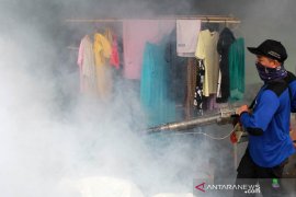 Ketum IDI: Menjaga kesehatan lingkungan perlu untuk mencegah DBD