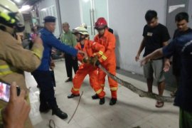 Petugas Damkar evakuasi ular sanca sepanjang empat meter dari saluran air warga
