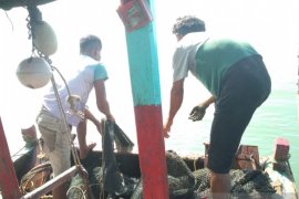 Pemkab Mukomuko berharap tambahan solar subsidi untuk nelayan