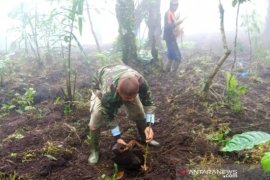 Dinas Pertanian OKU dorong petani budidaya Kapulaga
