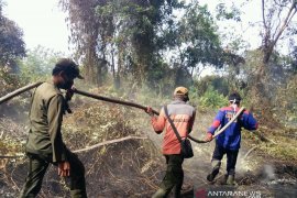 Tujuh hektare lahan terbakar di Siak, pemadaman masih dilakukan