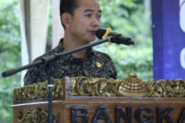 Pemerintah Kabupaten Bangka usulkan pembangunan pemecah gelombang