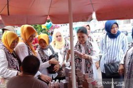 Istri Menhub RI terkesan pembangunan di Babel