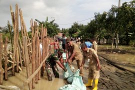 Pemkab Bekasi minta pusat perbaiki tanggul secara permanen