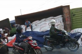 Truk pengangkut pupuk terguling, Jalinsum macet panjang Page 3 Small