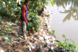 AMPHIBI tanam ribuan pohon di Hari Air  Internasional