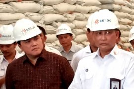 Dirut Budi Waseso: Beras Bulog dalam kondisi bagus, publik tak perlu panik