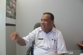 Distan Jayawijaya putuskan kontrak dengan 66 tenaga penyuluh pertanian
