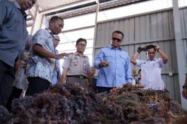 Batam ekspor 53 ton rumput laut ke China di tengah wabah corona