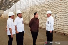 Minister Thohir ensures rice stocks to suffice until Eid al-Fitr