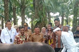 Kementan kenalkan teknologi pengembangan  biomassa dari sawit