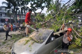 POHON TUMBANG TIMPA MOBIL DI PADANG Page 2 Small