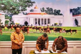 Telkomsel dan Pemkab Mamberamo Raya kerjasama layanan berbasis smart city