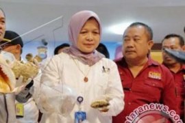 KKP : Negara pengimpor hasil laut Indonesia minta ketertelusuran asal ikan