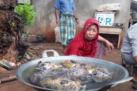Kearifan lokal masyarakat Wakatobi dalam menjaga alam