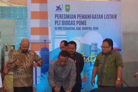 Menristek dukung PTPN V optimalkan listrik dari limbah sawit