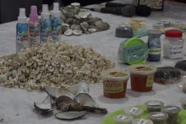 BRIN-Korea jajaki potensi kerja sama riset pengelolaan limbah makanan