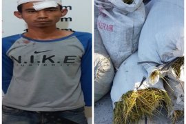 Curi empat karung padi milik warga, Anto diamankan polisi Pangkalan Susu Langkat