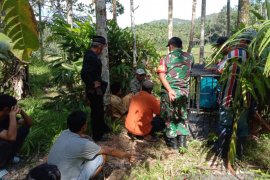 Tiga bulan terakhir, sudah lima ekor ternak dimangsa harimau di Agam