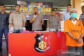 Pembakar lahan tanaman nenas dibekuk Polres Siak