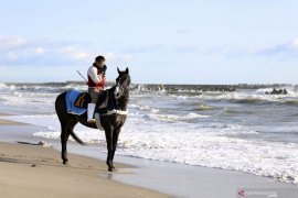 Gempa bumi bermagnitudo 5,5 guncang lepas pantai Jepang timur