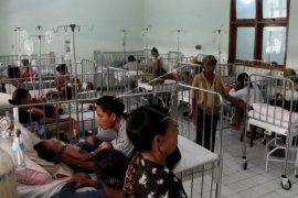 37 orang meninggal akibat DBD di NTT