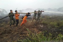 Puluhan Ha lahan terbakar di Nagan Raya Aceh