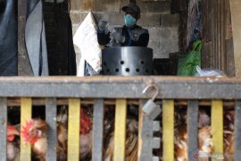 Antisipasi penyebaran virus flu burung