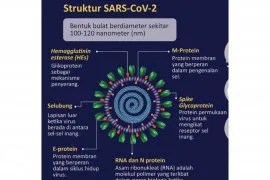 Kemenkes imbau jamaah haji waspadai penularan MERS-CoV