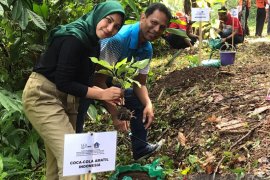 Coca-Cola Amatil Indonesia-Pemkab Badung tanam pohon di Desa Werdi Bhuwana