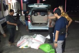 Polda Malut amankan ratusan liter miras jenis cap tikus