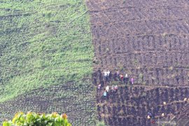 Alih fungsi hutan untuk lahan pertanian