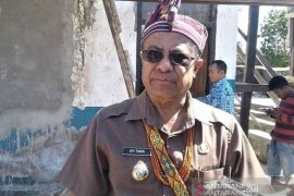 Ribuan babi di Timor Tengah Selatan mati terserang virus ASF