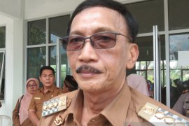 Pesisir Selatan Anniversary possible celebrated without Langkisau Festival in this year