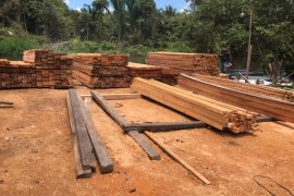 Polda Kalbar tetapkan pemilik ratusan batang kayu ilegal sebagai tersangka