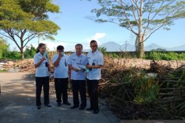 Pemkab Badung siapkan lokasi penguburan Babi mati