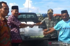 Dinas Perikanan Paser kembangkan budidaya Ikan kakap putih