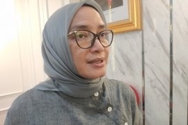 Presiden memberhentikan Evi Novida Ginting secara tidak hormat
