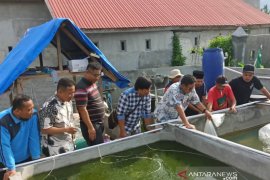 DKP Sulteng kucurkan bantuan benih untuk budidaya kreatif Ansor