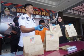 Polisi Tulungagung tangkap pelaku pembacokan anggota persilatan