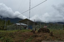 Wilayah terpencil Gorontalo Utara mulai nikmati jaringan internet