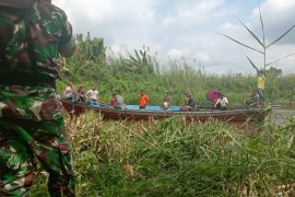 Usai bantu istri, warga Inhil hilang diterkam buaya